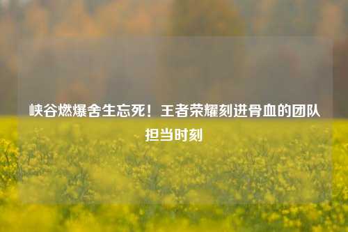 峡谷燃爆舍生忘死!王者荣耀刻进骨血的团队担当时刻