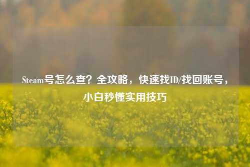 Steam号怎么查?全攻略,快速找ID/找回账号,小白秒懂实用技巧