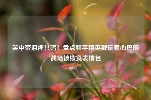 笑中带泪神共鸣!盘点和平精英戳玩家心巴的战场被欺负表情包