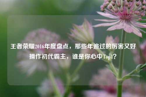 王者荣耀2016年度盘点,那些年追过的厉害又好操作初代霸主,谁是你心中Top1?
