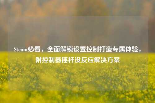 Steam必看,全面解锁设置控制打造专属体验,附控制器摇杆没反应解决方案