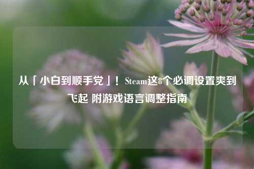 从「小白到顺手党」!Steam这8个必调设置爽到飞起 附游戏语言调整指南