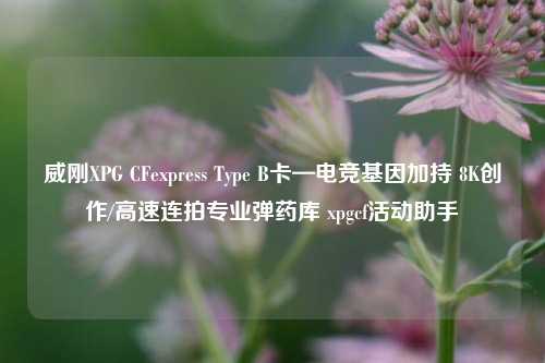 威刚XPG CFexpress Type B卡—电竞基因加持 8K创作/高速连拍专业弹药库 xpgcf活动助手