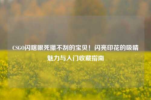 CSGO闪瞎眼死攥不刮的宝贝!闪亮印花的吸睛魅力与入门收藏指南