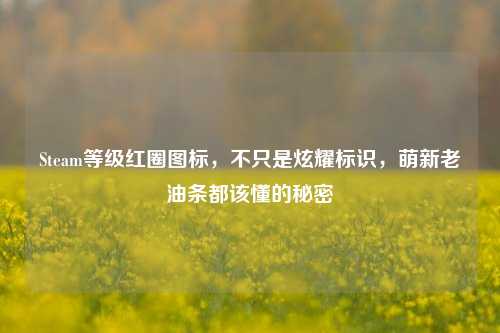 Steam等级红圈图标,不只是炫耀标识,萌新老油条都该懂的秘密