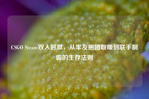 CSGO Steam双人越狱,从牢友抱团取暖到联手制霸的生存法则