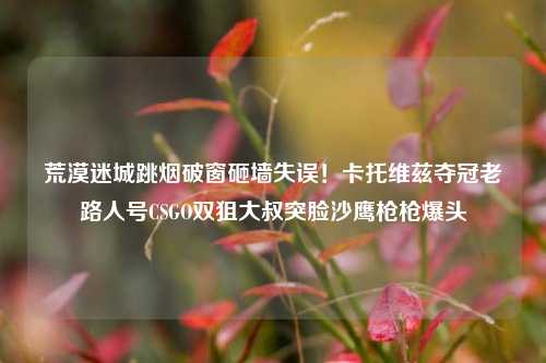 荒漠迷城跳烟破窗砸墙失误!卡托维兹夺冠老路人号CSGO双狙大叔突脸沙鹰枪枪爆头