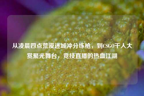 从凌晨四点荒漠迷城冲分练枪,到CSGO千人大赏聚光舞台,竞技直播的热血江湖