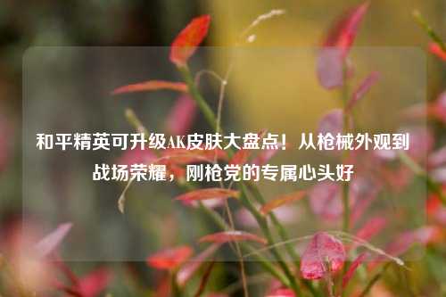 和平精英可升级AK皮肤大盘点!从枪械外观到战场荣耀,刚枪党的专属心头好