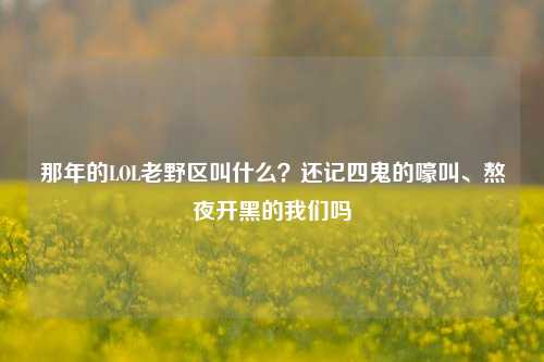 那年的LOL老野区叫什么?还记四鬼的嚎叫、熬夜开黑的我们吗