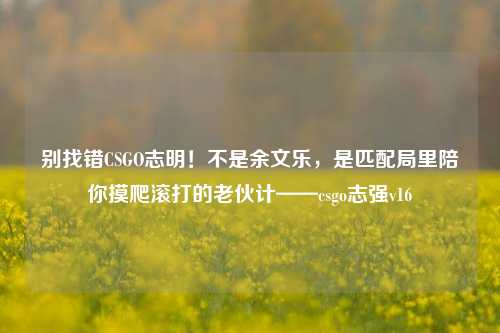别找错CSGO志明!不是余文乐,是匹配局里陪你摸爬滚打的老伙计——csgo志强v16