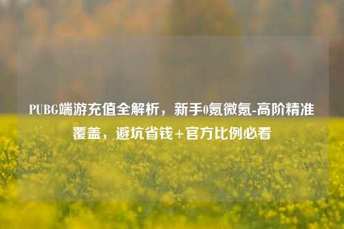 PUBG端游充值全解析,新手0氪微氪-高阶精准覆盖,避坑省钱+官方比例必看