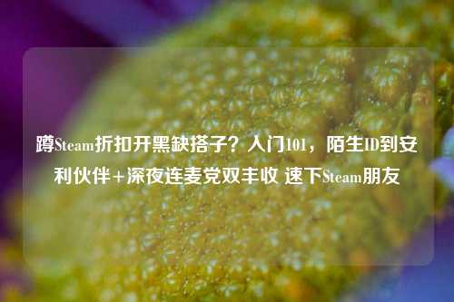蹲Steam折扣开黑缺搭子?入门101,陌生ID到安利伙伴+深夜连麦党双丰收 速下Steam朋友