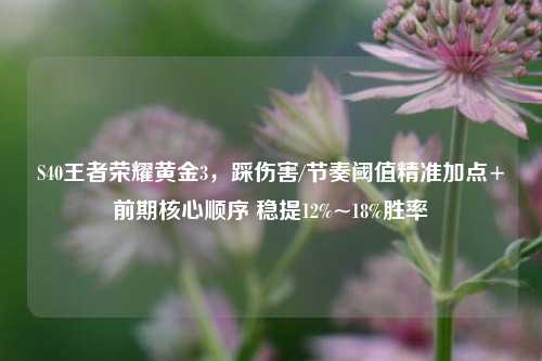 S40王者荣耀黄金3,踩伤害/节奏阈值精准加点+前期核心顺序 稳提12%~18%胜率