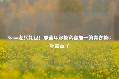 Steam老兵礼包!那些年躲被窝喜加一的青春被G胖盖章了