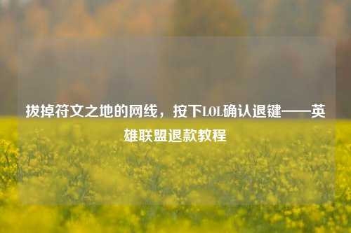 拔掉符文之地的网线,按下LOL确认退键——英雄联盟退款教程