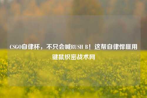 CSGO自律杯,不只会喊RUSH B!这帮自律悍匪用键鼠织密战术网