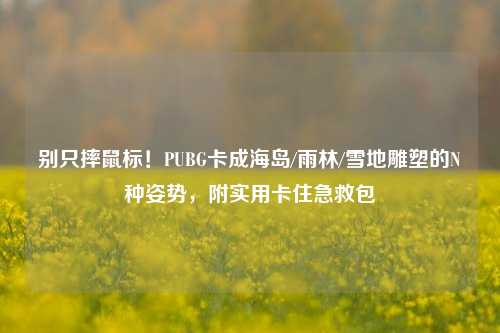 别只摔鼠标!PUBG卡成海岛/雨林/雪地雕塑的N种姿势,附实用卡住急救包