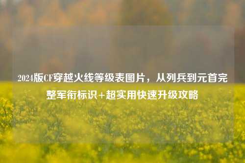 2024版CF穿越火线等级表图片,从列兵到元首完整军衔标识+超实用快速升级攻略