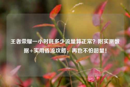 王者荣耀一小时耗多少流量算正常?附实测数据+实用省流攻略,再也不怕超量!