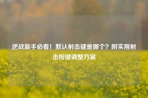 逆战新手必看!默认射击键是哪个?附实用射击按键调整方案