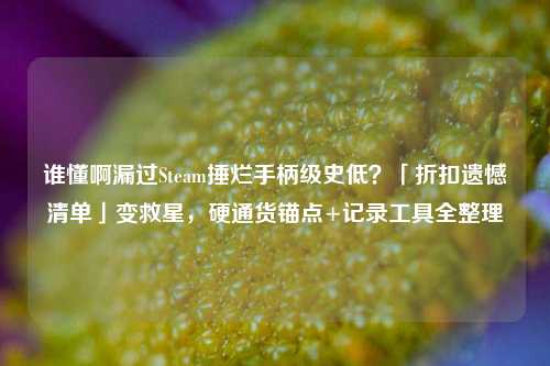 谁懂啊漏过Steam捶烂手柄级史低?「折扣遗憾清单」变救星,硬通货锚点+记录工具全整理