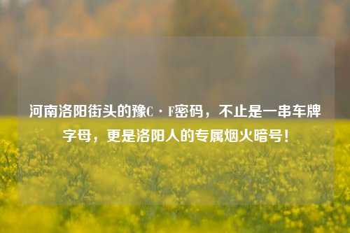 河南洛阳街头的豫C·F密码,不止是一串车牌字母,更是洛阳人的专属烟火暗号!