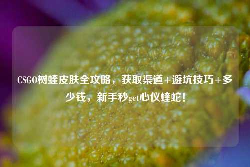 CSGO树蝰皮肤全攻略,获取渠道+避坑技巧+多少钱,新手秒get心仪蝰蛇!