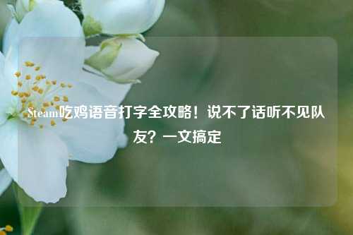 Steam吃鸡语音打字全攻略!说不了话听不见队友?一文搞定