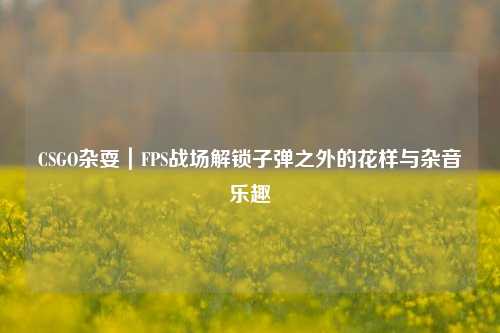 CSGO杂耍|FPS战场解锁子弹之外的花样与杂音乐趣