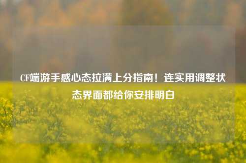 CF端游手感心态拉满上分指南!连实用调整状态界面都给你安排明白