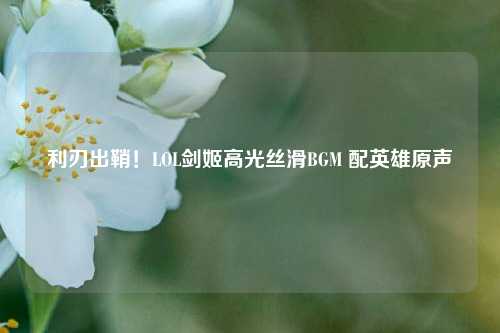 利刃出鞘!LOL剑姬高光丝滑BGM 配英雄原声