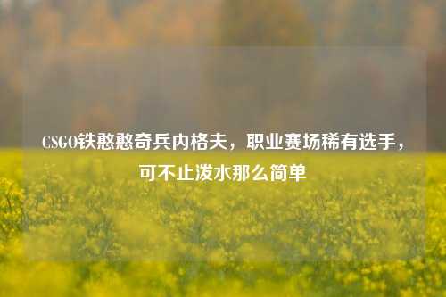 CSGO铁憨憨奇兵内格夫,职业赛场稀有选手,可不止泼水那么简单