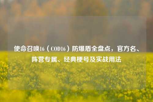 使命召唤16(COD16)防爆盾全盘点,官方名、阵营专属、经典梗号及实战用法