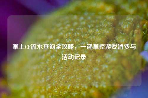 掌上CF流水查询全攻略,一键掌控游戏消费与活动记录