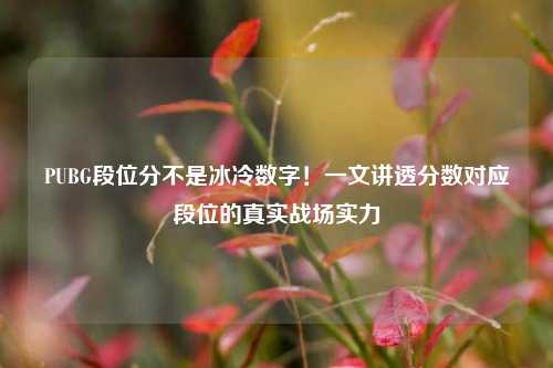 PUBG段位分不是冰冷数字!一文讲透分数对应段位的真实战场实力