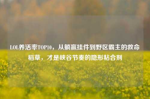 LOL养活率TOP10,从躺赢挂件到野区霸主的救命稻草,才是峡谷节奏的隐形粘合剂