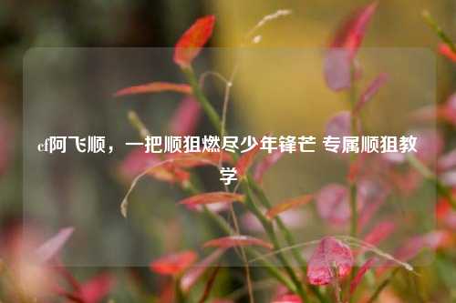 cf阿飞顺,一把顺狙燃尽少年锋芒 专属顺狙教学