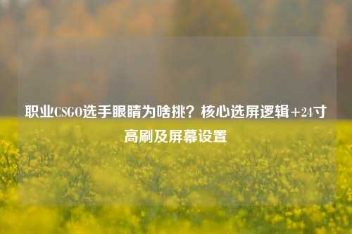 职业CSGO选手眼睛为啥挑?核心选屏逻辑+24寸高刷及屏幕设置