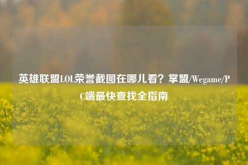 英雄联盟LOL荣誉截图在哪儿看?掌盟/Wegame/PC端最快查找全指南