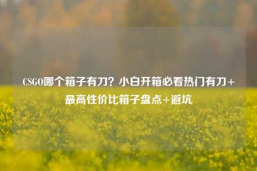 CSGO哪个箱子有刀?小白开箱必看热门有刀+更高性价比箱子盘点+避坑