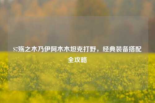 S7殇之木乃伊阿木木坦克打野,经典装备搭配全攻略