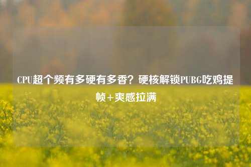 CPU超个频有多硬有多香?硬核解锁PUBG吃鸡提帧+爽感拉满