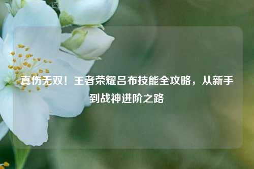 真伤无双!王者荣耀吕布技能全攻略,从新手到战神进阶之路