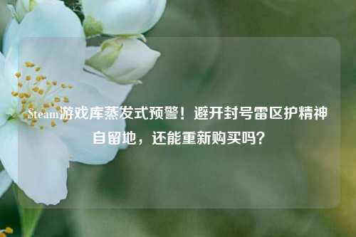 Steam游戏库蒸发式预警!避开封号雷区护精神自留地,还能重新购买吗?