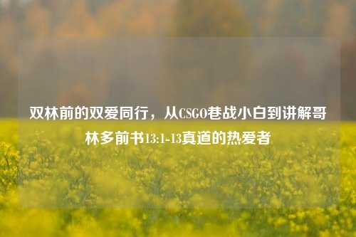 双林前的双爱同行,从CSGO巷战小白到讲解哥林多前书13:1-13真道的热爱者