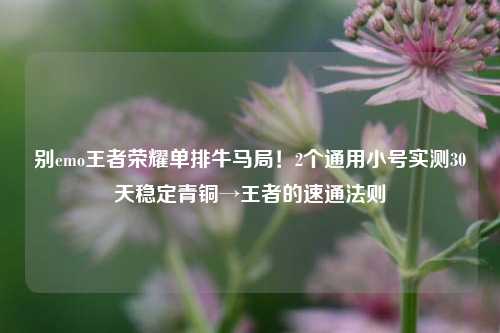 别emo王者荣耀单排牛马局!2个通用小号实测30天稳定青铜→王者的速通法则