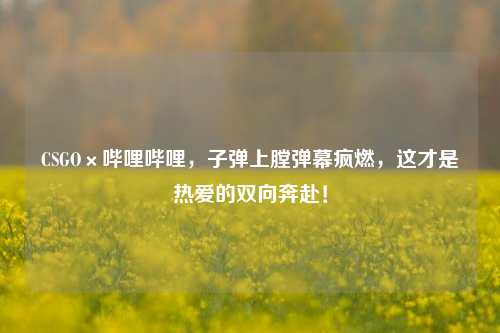 CSGO×哔哩哔哩,子弹上膛弹幕疯燃,这才是热爱的双向奔赴!