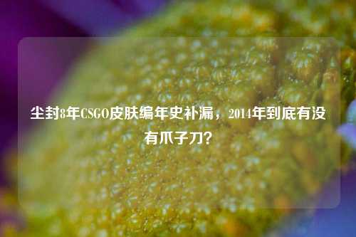 尘封8年CSGO皮肤编年史补漏,2014年到底有没有爪子刀?