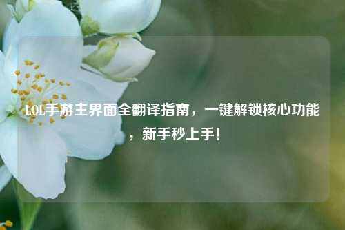 LOL手游主界面全翻译指南,一键解锁核心功能,新手秒上手!